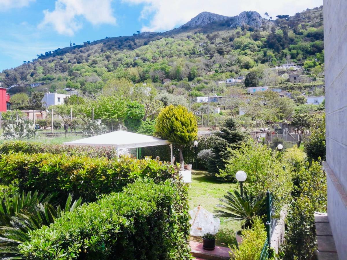 Villa Alessandro - Anacapri Anacapri  Buitenkant foto