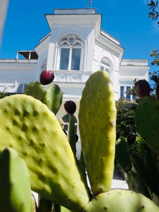 Villa Alessandro - Anacapri Anacapri  Buitenkant foto